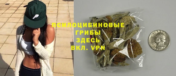 МДПВ Армянск