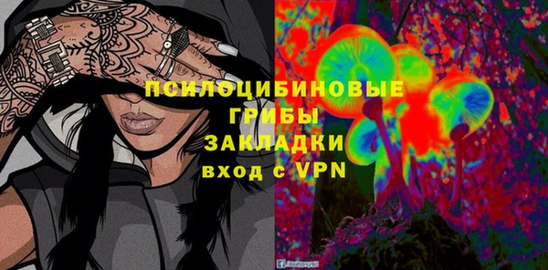 МДПВ Армянск